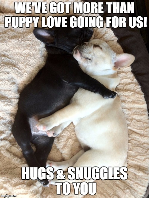 Puppy love | WE'VE GOT MORE THAN PUPPY LOVE GOING FOR US! HUGS & SNUGGLES TO YOU | image tagged in puppy love | made w/ Imgflip meme maker