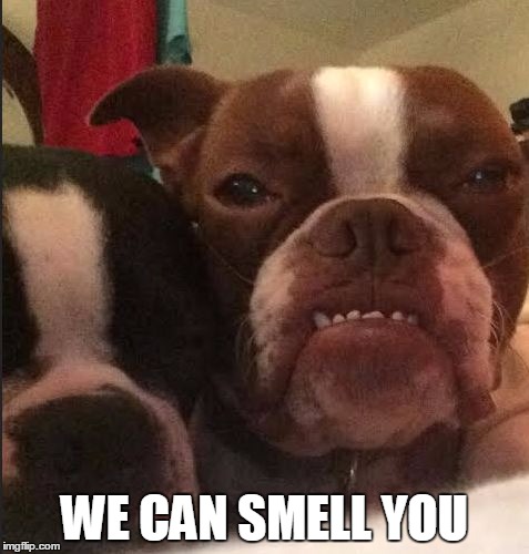 WE CAN SMELL YOU | made w/ Imgflip meme maker