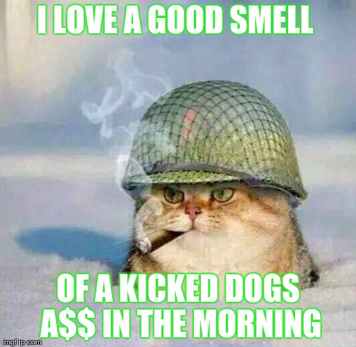 War Cat | I LOVE A GOOD SMELL; OF A KICKED DOGS A$$ IN THE MORNING | image tagged in war cat | made w/ Imgflip meme maker