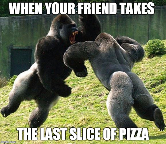 GorillaFight | WHEN YOUR FRIEND TAKES; THE LAST SLICE OF PIZZA | image tagged in gorillafight | made w/ Imgflip meme maker