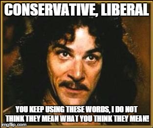 princess bride | CONSERVATIVE, LIBERAL; YOU KEEP USING THESE WORDS, I DO NOT THINK THEY MEAN WHAT YOU THINK THEY MEAN! | image tagged in princess bride | made w/ Imgflip meme maker