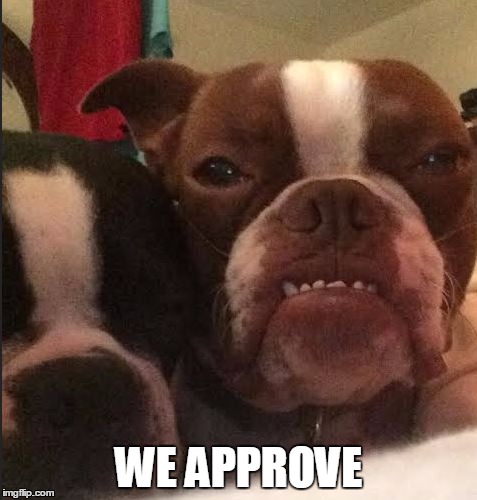 WE APPROVE | made w/ Imgflip meme maker