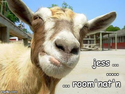 Skep Goat | jess ... ..... ... room'nat'n | image tagged in get back to you,please wait,thinking,wry,ruminating,skeptical | made w/ Imgflip meme maker