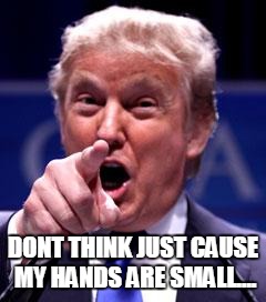 Trump Trademark | DONT THINK JUST CAUSE MY HANDS ARE SMALL.... | image tagged in trump trademark | made w/ Imgflip meme maker