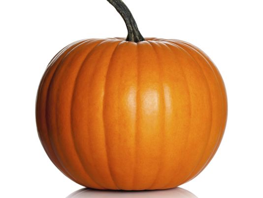 pumpkin Blank Meme Template
