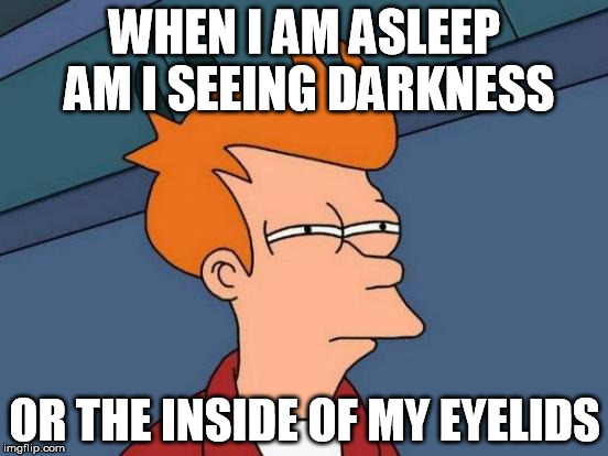 Futurama Fry | WHEN I AM ASLEEP AM I SEEING DARKNESS; OR THE INSIDE OF MY EYELIDS | image tagged in memes,futurama fry | made w/ Imgflip meme maker