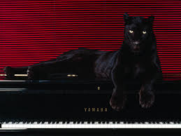 High Quality Sex Panther Blank Meme Template