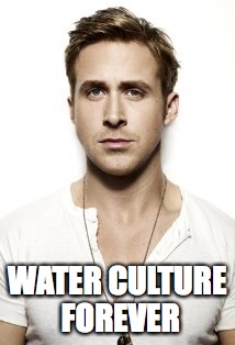 Ryan Gosling | WATER CULTURE FOREVER | image tagged in memes,ryan gosling | made w/ Imgflip meme maker