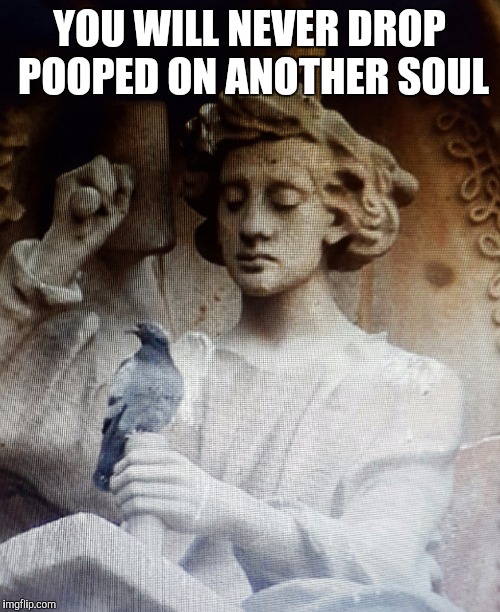 YOU WILL NEVER DROP POOPED ON ANOTHER SOUL | image tagged in religion pigeon,pooping,angry birds | made w/ Imgflip meme maker