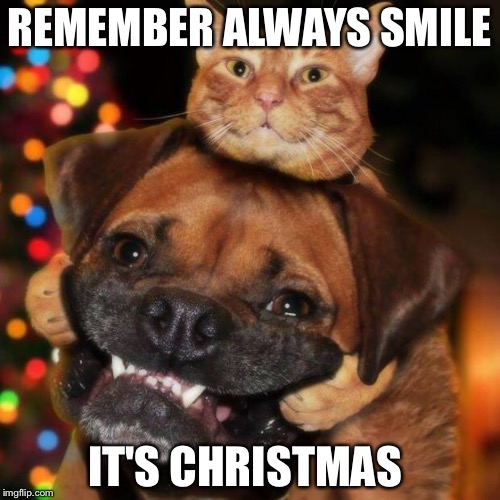 dogs an cats | REMEMBER ALWAYS SMILE; IT'S CHRISTMAS | image tagged in dogs an cats | made w/ Imgflip meme maker