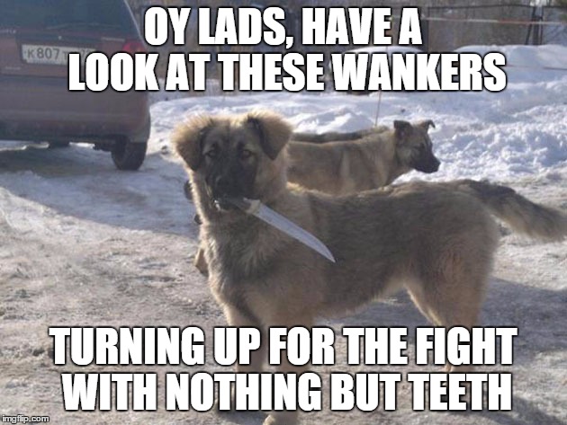 thug dogs | OY LADS, HAVE A LOOK AT THESE WANKERS; TURNING UP FOR THE FIGHT WITH NOTHING BUT TEETH | image tagged in funny dogs | made w/ Imgflip meme maker
