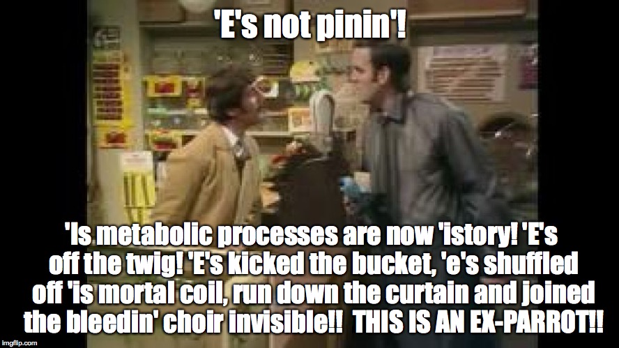 'E's not pinin'! 'Is metabolic processes are now 'istory! 'E's off the twig! 'E's kicked the bucket, 'e's shuffled off 'is mortal coil, run  | made w/ Imgflip meme maker