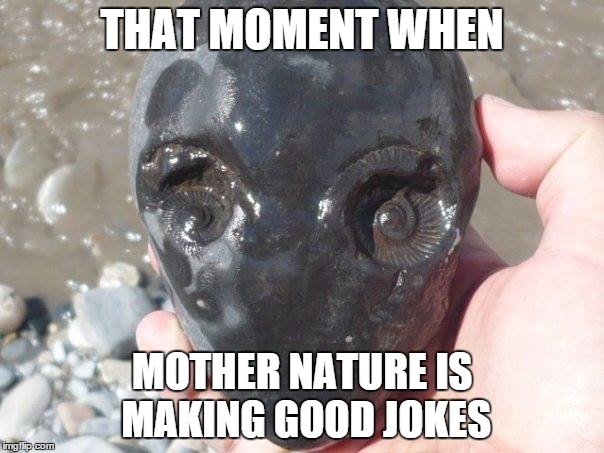 alien amonite | THAT MOMENT WHEN; MOTHER NATURE IS MAKING GOOD JOKES | image tagged in alien amonite | made w/ Imgflip meme maker