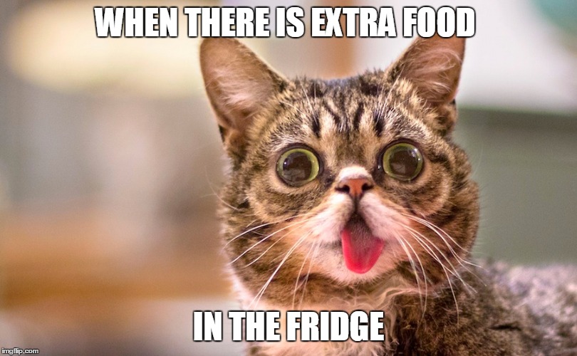 WHEN THERE IS EXTRA FOOD; IN THE FRIDGE | image tagged in memes | made w/ Imgflip meme maker