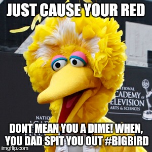 Big Bird |  JUST CAUSE YOUR RED; DONT MEAN YOU A DIME! WHEN, YOU DAD SPIT YOU OUT #BIGBIRD | image tagged in memes,big bird | made w/ Imgflip meme maker