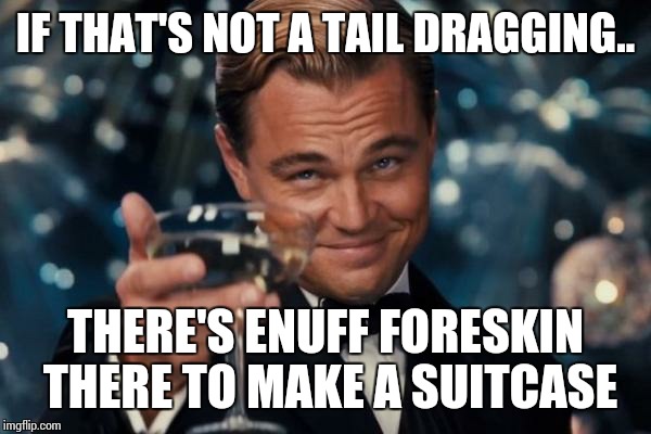 Leonardo Dicaprio Cheers Meme | IF THAT'S NOT A TAIL DRAGGING.. THERE'S ENUFF FORESKIN THERE TO MAKE A SUITCASE | image tagged in memes,leonardo dicaprio cheers | made w/ Imgflip meme maker