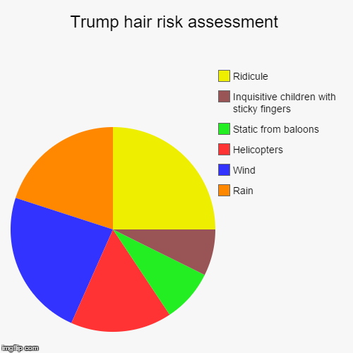 Trump hair challenges | image tagged in funny,pie charts | made w/ Imgflip chart maker