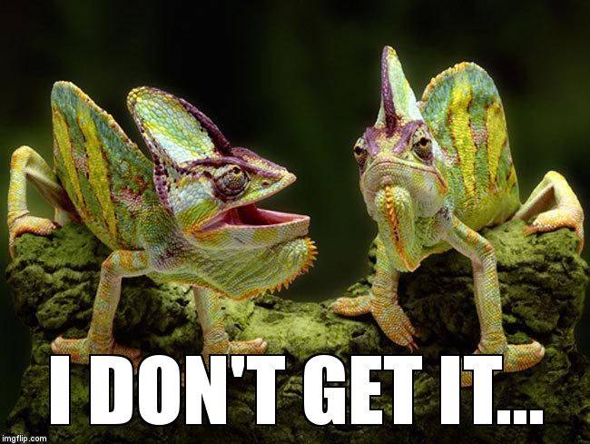 chameleons | I DON'T GET IT... | image tagged in chameleons | made w/ Imgflip meme maker