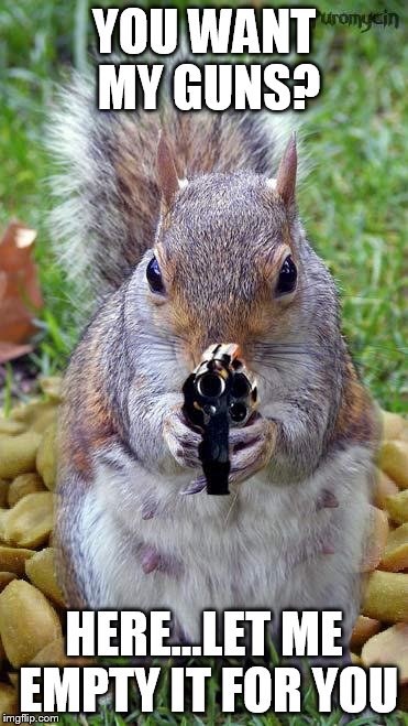 funny squirrels with guns (5) | YOU WANT MY GUNS? HERE...LET ME EMPTY IT FOR YOU | image tagged in funny squirrels with guns 5 | made w/ Imgflip meme maker