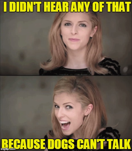 I DIDN'T HEAR ANY OF THAT BECAUSE DOGS CAN'T TALK | made w/ Imgflip meme maker
