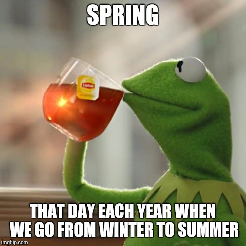 But That's None Of My Business Meme | SPRING; THAT DAY EACH YEAR WHEN WE GO FROM WINTER TO SUMMER | image tagged in memes,but thats none of my business,kermit the frog | made w/ Imgflip meme maker