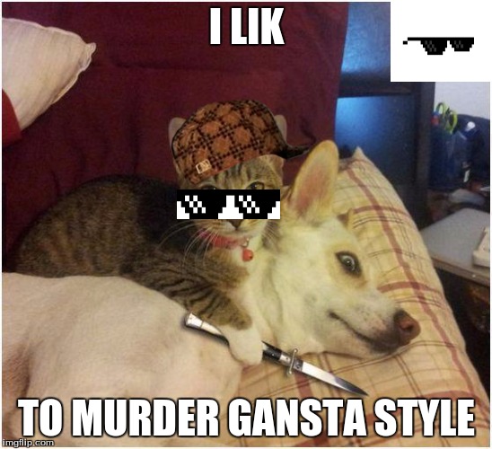 Warning killer cat | I LIK; TO MURDER GANSTA STYLE | image tagged in warning killer cat,scumbag | made w/ Imgflip meme maker