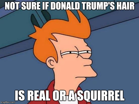 Futurama Fry Meme | NOT SURE IF DONALD TRUMP'S HAIR; IS REAL OR A SQUIRREL | image tagged in memes,futurama fry | made w/ Imgflip meme maker