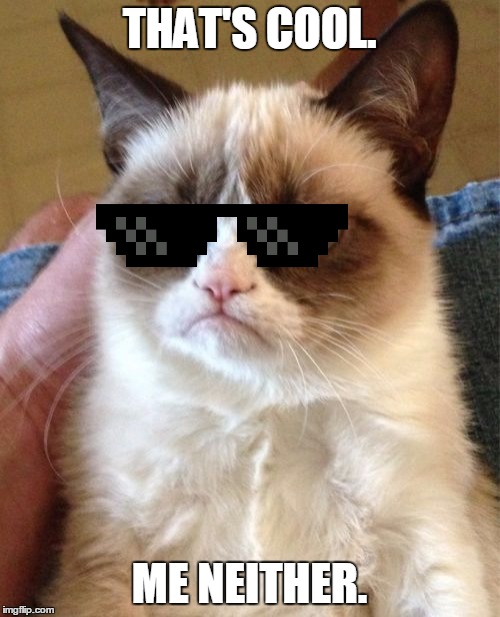 Grumpy Cat Meme | THAT'S COOL. ME NEITHER. | image tagged in memes,grumpy cat | made w/ Imgflip meme maker