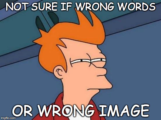 Futurama Fry | NOT SURE IF WRONG WORDS; OR WRONG IMAGE | image tagged in memes,futurama fry | made w/ Imgflip meme maker