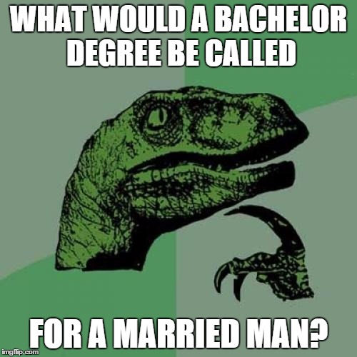 Philosoraptor | WHAT WOULD A BACHELOR DEGREE BE CALLED; FOR A MARRIED MAN? | image tagged in memes,philosoraptor | made w/ Imgflip meme maker
