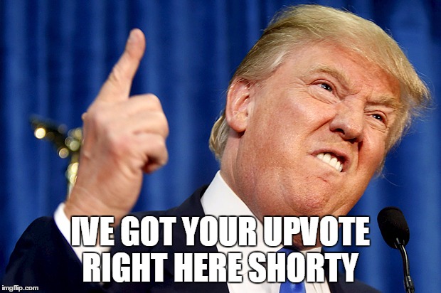 Donald Trump | IVE GOT YOUR UPVOTE RIGHT HERE SHORTY | image tagged in donald trump | made w/ Imgflip meme maker