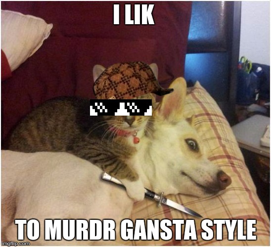 Warning killer cat | I LIK; TO MURDR GANSTA STYLE | image tagged in warning killer cat,scumbag | made w/ Imgflip meme maker