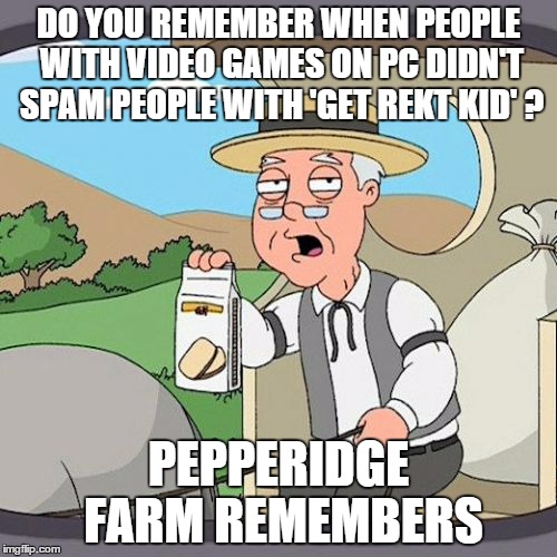 Pepperidge Farm Remembers | DO YOU REMEMBER WHEN PEOPLE WITH VIDEO GAMES ON PC DIDN'T SPAM PEOPLE WITH 'GET REKT KID' ? PEPPERIDGE FARM REMEMBERS | image tagged in memes,pepperidge farm remembers | made w/ Imgflip meme maker