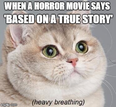 Heavy Breathing Cat | WHEN A HORROR MOVIE SAYS; 'BASED ON A TRUE STORY' | image tagged in memes,heavy breathing cat | made w/ Imgflip meme maker