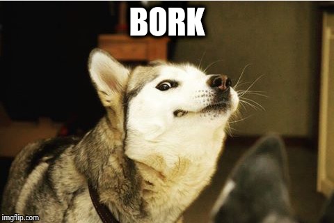 I is a pupper | BORK | image tagged in doge,puppy,dog | made w/ Imgflip meme maker