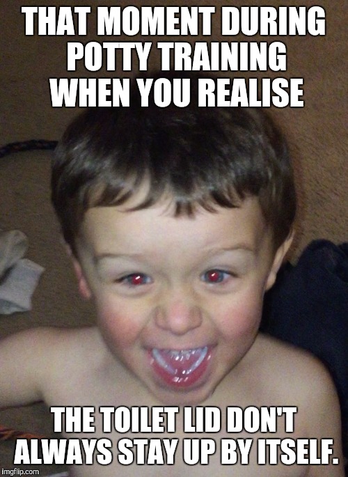 My kid | THAT MOMENT DURING POTTY TRAINING WHEN YOU REALISE; THE TOILET LID DON'T ALWAYS STAY UP BY ITSELF. | image tagged in life happens | made w/ Imgflip meme maker