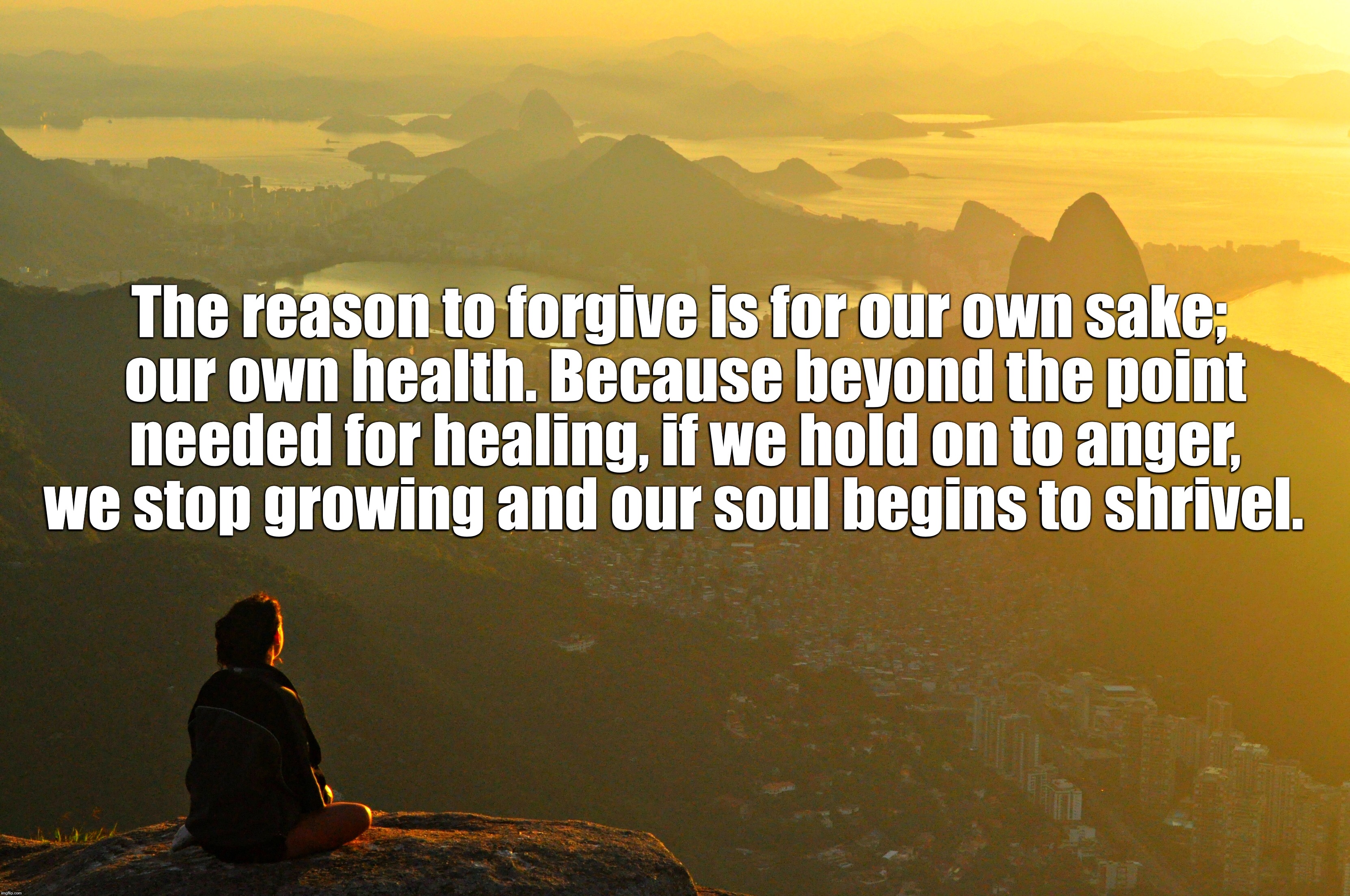 The reason to forgive is for our own sake; our own health. Because beyond the point needed for healing, if we hold on to anger, we stop growing and our soul begins to shrivel. | image tagged in inspirational | made w/ Imgflip meme maker