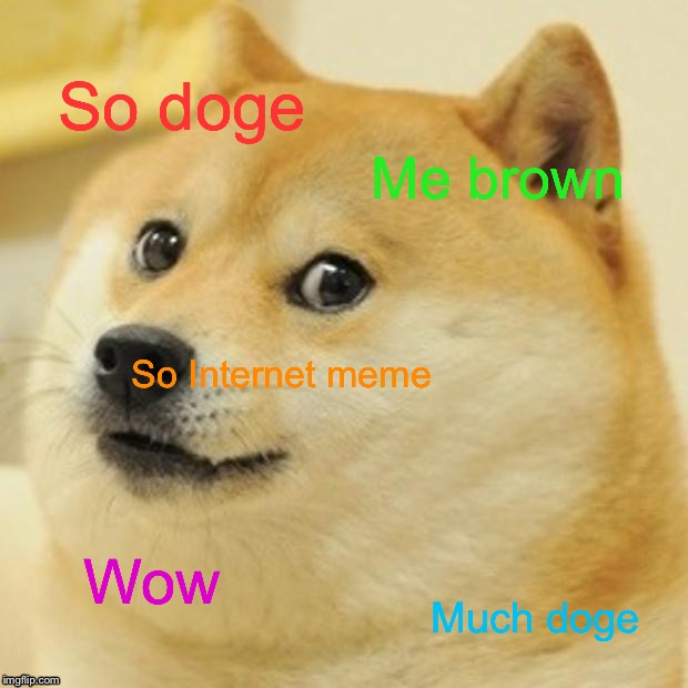 Doge | So doge; Me brown; So Internet meme; Wow; Much doge | image tagged in memes,doge | made w/ Imgflip meme maker