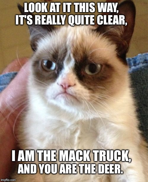 Grumpy Cat Meme | LOOK AT IT THIS WAY, IT'S REALLY QUITE CLEAR, I AM THE MACK TRUCK, AND YOU ARE THE DEER. | image tagged in memes,grumpy cat | made w/ Imgflip meme maker