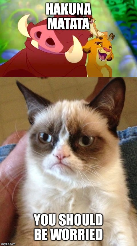 HAKUNA MATATA; YOU SHOULD BE WORRIED | image tagged in memes,grumpy cat | made w/ Imgflip meme maker