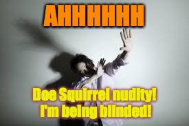 AHHHHHH Doe Squirrel nudity! I'm being blinded! | made w/ Imgflip meme maker