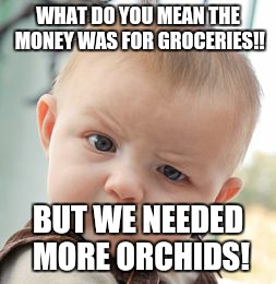 Skeptical Baby | WHAT DO YOU MEAN THE MONEY WAS FOR GROCERIES!! BUT WE NEEDED MORE ORCHIDS! | image tagged in memes,skeptical baby | made w/ Imgflip meme maker
