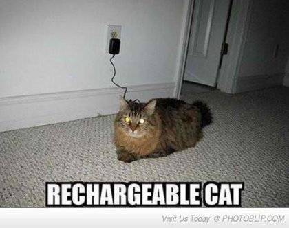 Rechargeable cat Blank Meme Template