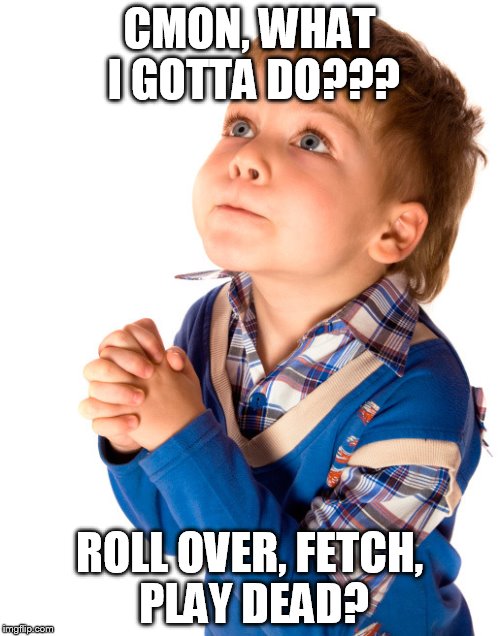 CMON, WHAT I GOTTA DO??? ROLL OVER, FETCH, PLAY DEAD? | made w/ Imgflip meme maker