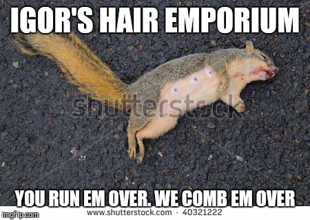 IGOR'S HAIR EMPORIUM YOU RUN EM OVER. WE COMB EM OVER | image tagged in squirrel | made w/ Imgflip meme maker