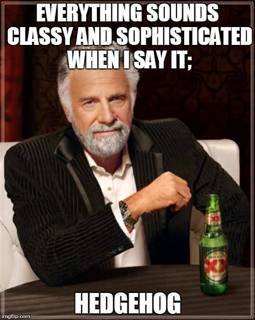 The Most Interesting Man In The World Meme | EVERYTHING SOUNDS CLASSY AND SOPHISTICATED WHEN I SAY IT;; HEDGEHOG | image tagged in memes,the most interesting man in the world | made w/ Imgflip meme maker