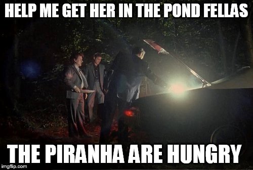 HELP ME GET HER IN THE POND FELLAS THE PIRANHA ARE HUNGRY | made w/ Imgflip meme maker