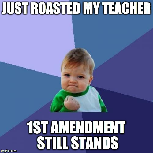 Success Kid Meme | JUST ROASTED MY TEACHER; 1ST AMENDMENT STILL STANDS | image tagged in memes,success kid | made w/ Imgflip meme maker