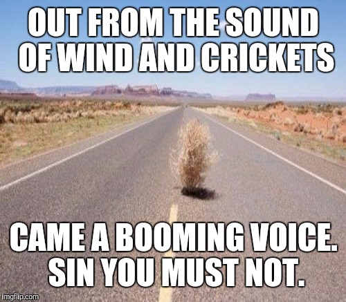 OUT FROM THE SOUND OF WIND AND CRICKETS CAME A BOOMING VOICE. SIN YOU MUST NOT. | made w/ Imgflip meme maker
