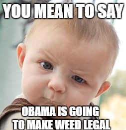 Skeptical Baby Meme | YOU MEAN TO SAY; OBAMA IS GOING TO MAKE WEED LEGAL | image tagged in memes,skeptical baby | made w/ Imgflip meme maker